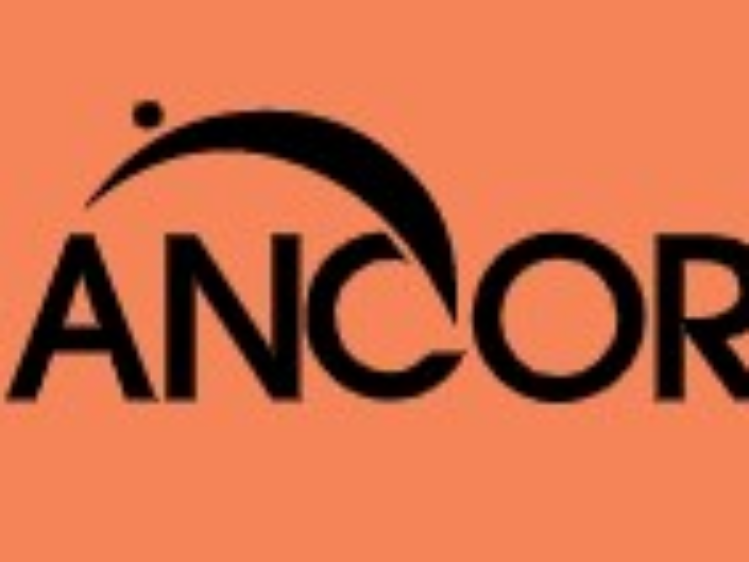 Ancor-Orange-Log